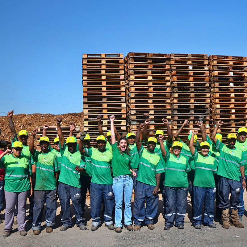 santa_maria_ecologic_05